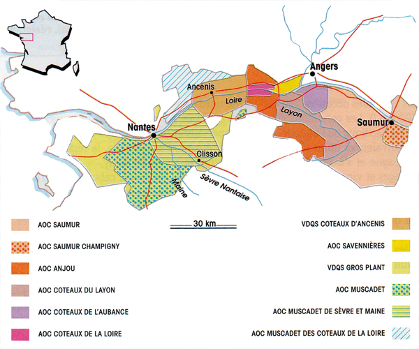 La carte géographique des vins de la Loire (ouest)